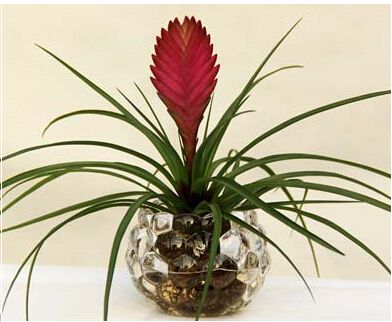 �칫�һ��ܰڷŷ�ˮ����