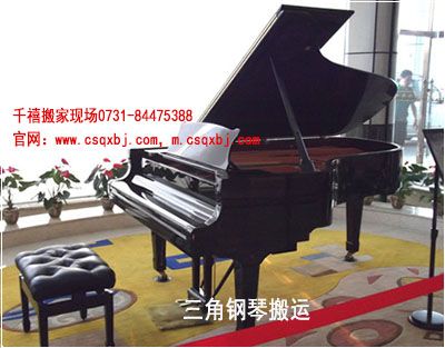 ��ɳ��ҳ�ɳǧ����Ǩϲ�����0731-84475388��www.csqxbj.com